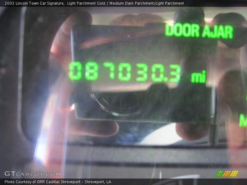 Light Parchment Gold / Medium Dark Parchment/Light Parchment 2003 Lincoln Town Car Signature