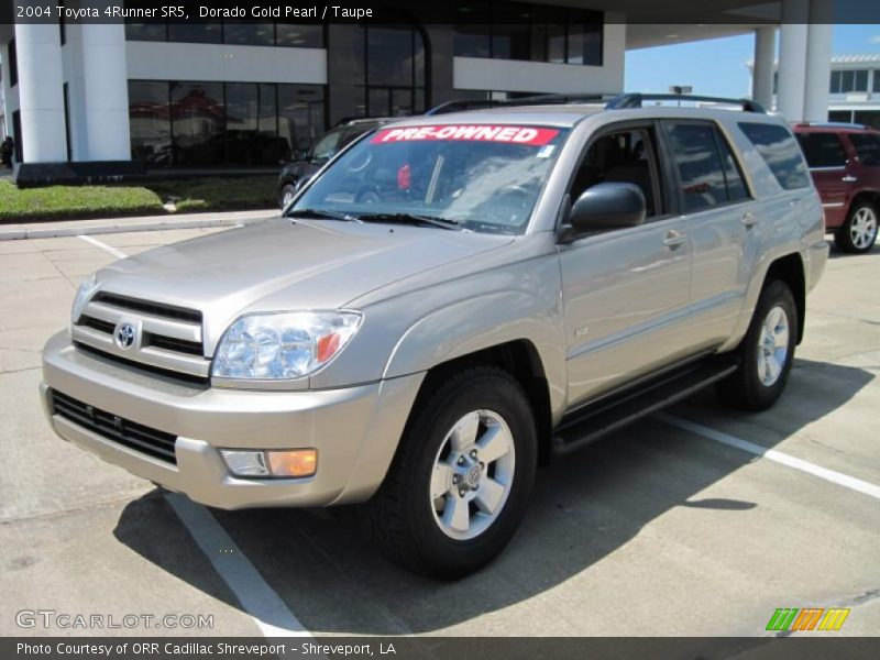 Dorado Gold Pearl / Taupe 2004 Toyota 4Runner SR5