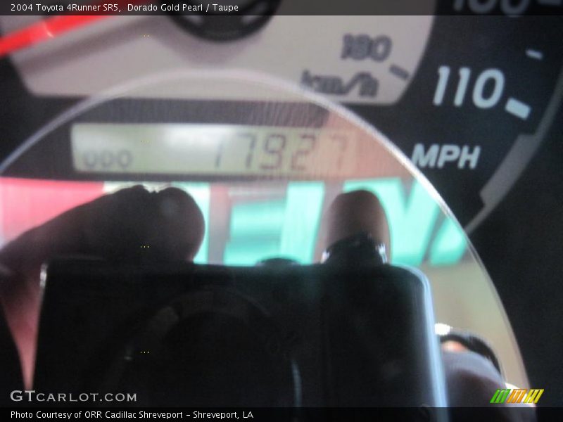 Dorado Gold Pearl / Taupe 2004 Toyota 4Runner SR5
