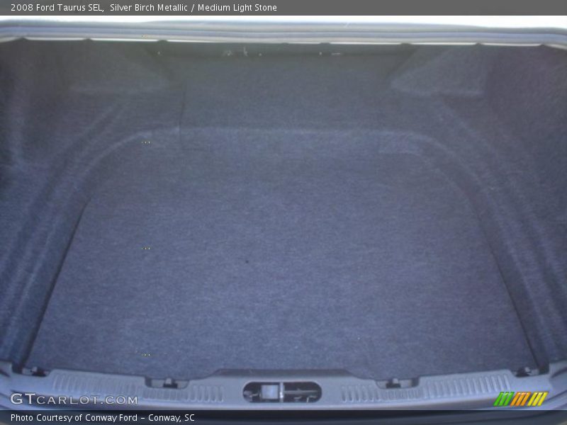 Silver Birch Metallic / Medium Light Stone 2008 Ford Taurus SEL