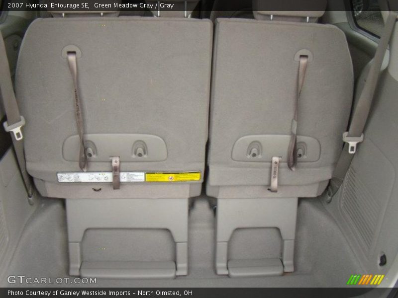 Green Meadow Gray / Gray 2007 Hyundai Entourage SE