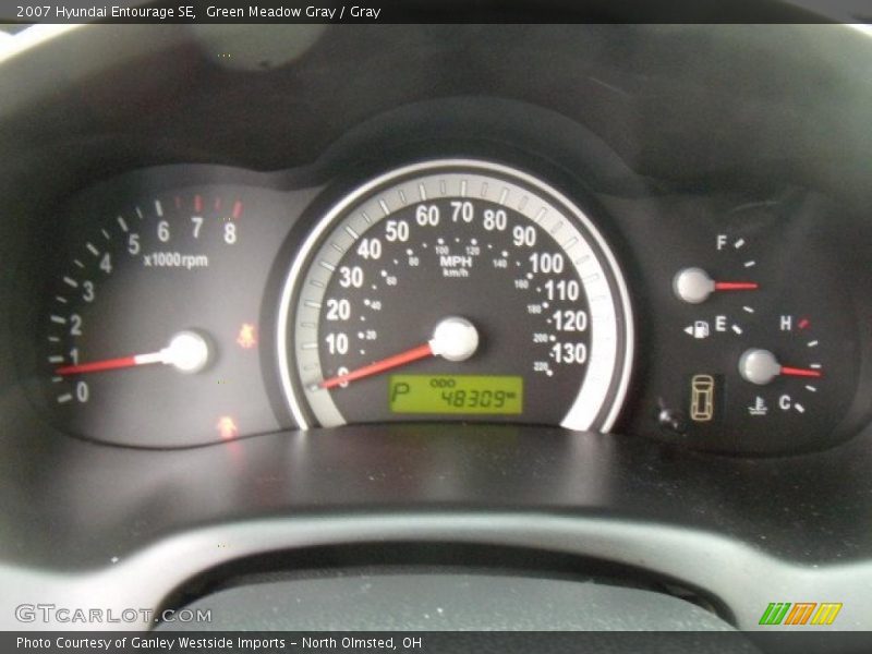 Green Meadow Gray / Gray 2007 Hyundai Entourage SE