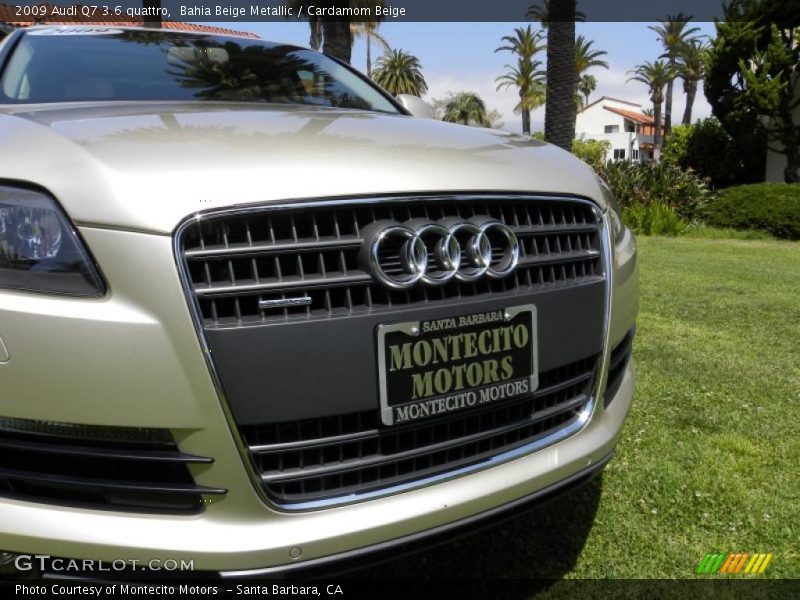 Bahia Beige Metallic / Cardamom Beige 2009 Audi Q7 3.6 quattro