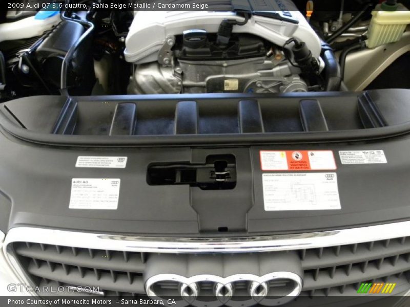 Bahia Beige Metallic / Cardamom Beige 2009 Audi Q7 3.6 quattro