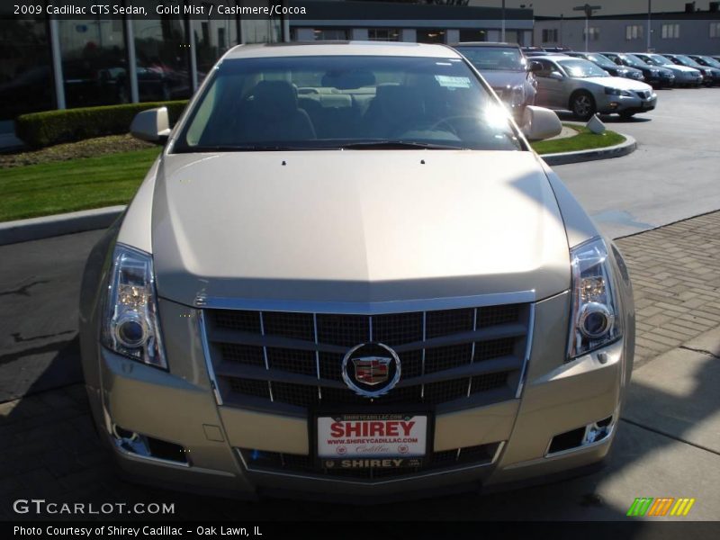 Gold Mist / Cashmere/Cocoa 2009 Cadillac CTS Sedan