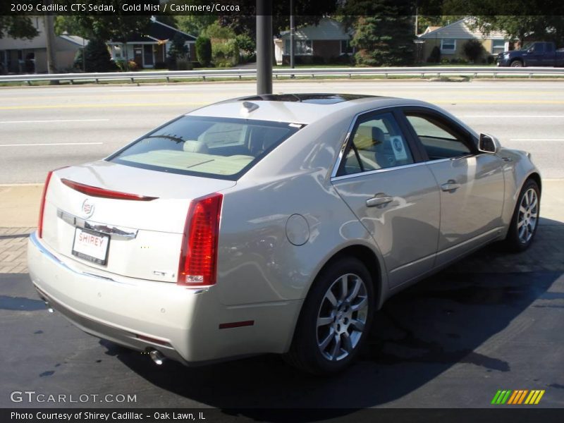 Gold Mist / Cashmere/Cocoa 2009 Cadillac CTS Sedan