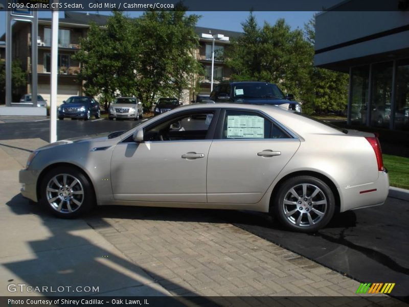 Gold Mist / Cashmere/Cocoa 2009 Cadillac CTS Sedan
