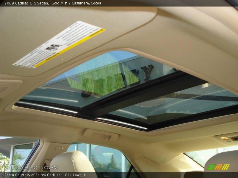 Gold Mist / Cashmere/Cocoa 2009 Cadillac CTS Sedan