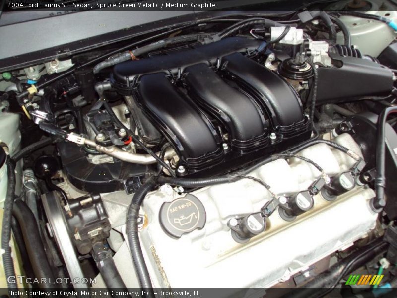 Spruce Green Metallic / Medium Graphite 2004 Ford Taurus SEL Sedan