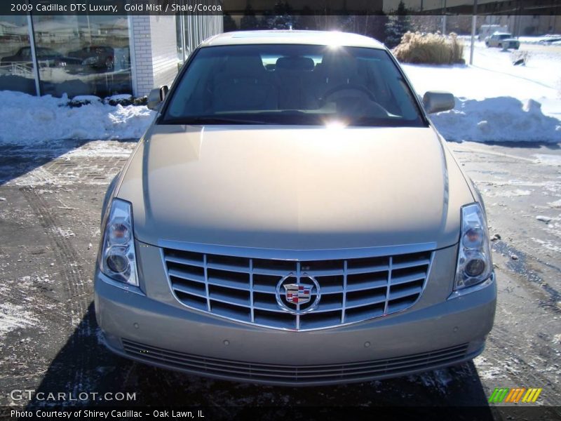 Gold Mist / Shale/Cocoa 2009 Cadillac DTS Luxury