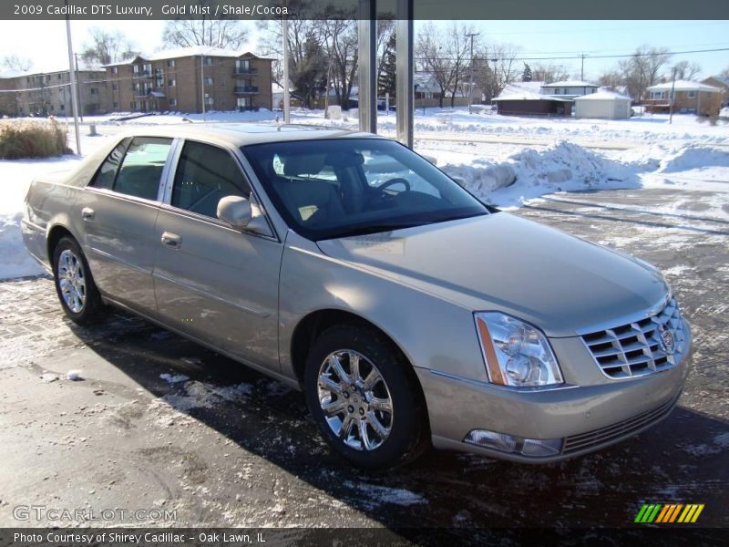 Gold Mist / Shale/Cocoa 2009 Cadillac DTS Luxury