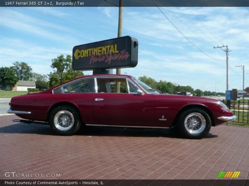 Burgundy / Tan 1967 Ferrari 365 GT 2+2