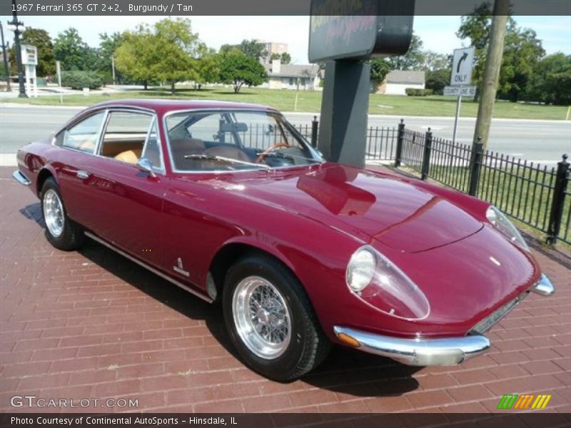 Burgundy / Tan 1967 Ferrari 365 GT 2+2