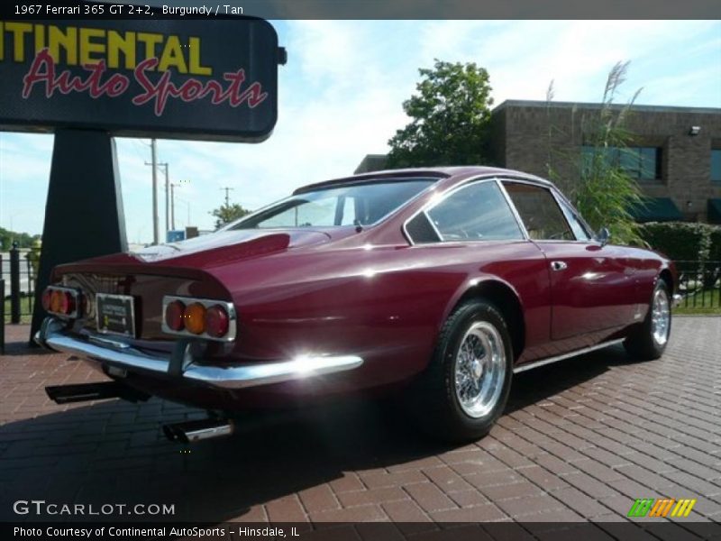 Burgundy / Tan 1967 Ferrari 365 GT 2+2