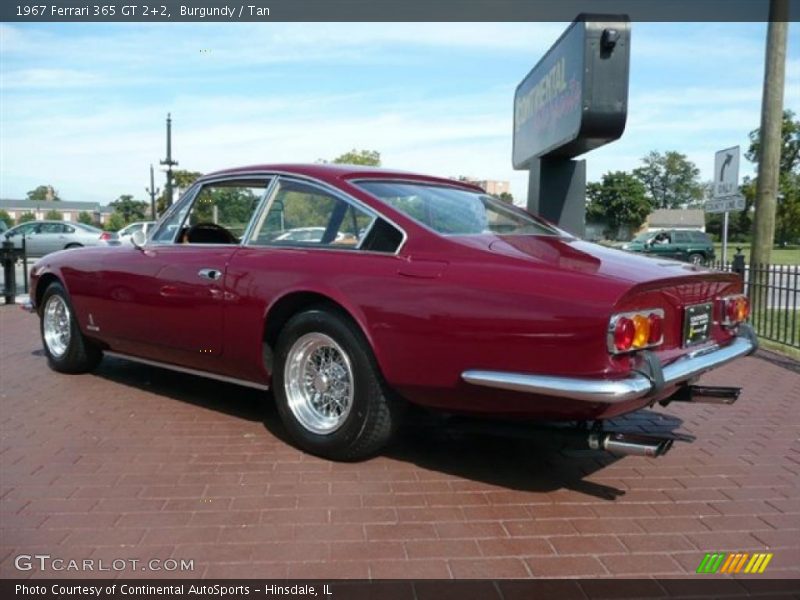 Burgundy / Tan 1967 Ferrari 365 GT 2+2