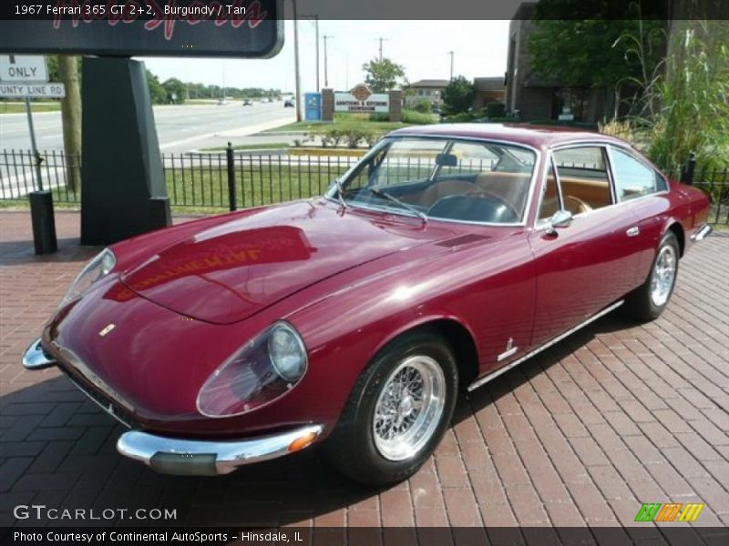 Burgundy / Tan 1967 Ferrari 365 GT 2+2