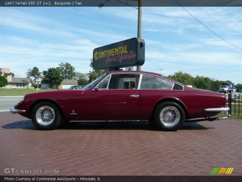 Burgundy / Tan 1967 Ferrari 365 GT 2+2