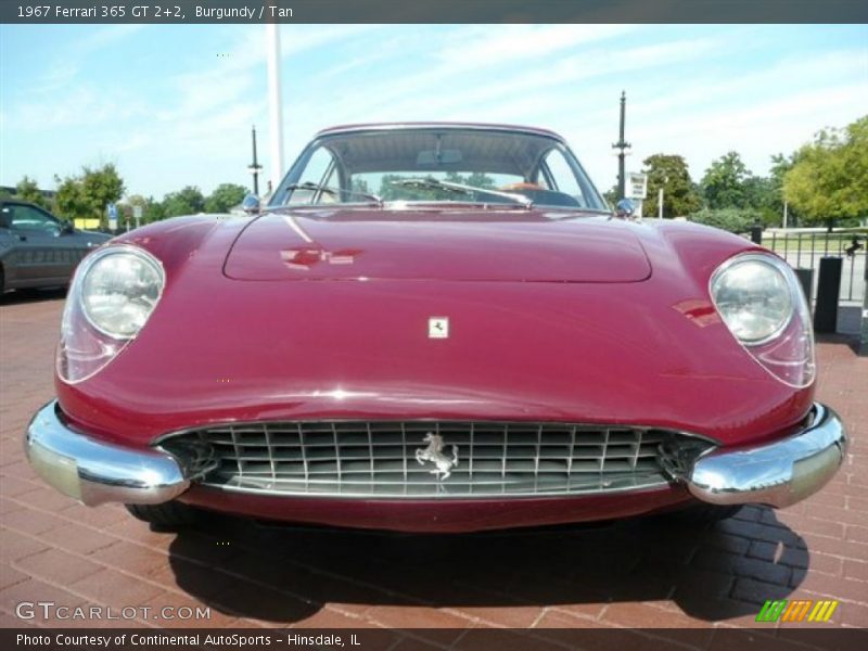 Burgundy / Tan 1967 Ferrari 365 GT 2+2