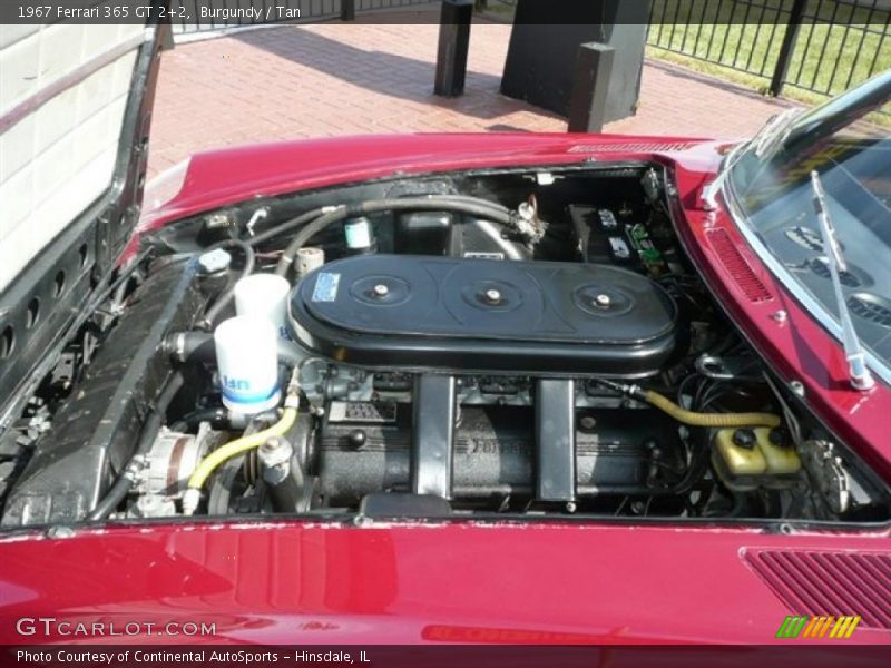 Burgundy / Tan 1967 Ferrari 365 GT 2+2