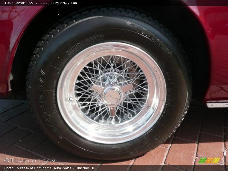 Burgundy / Tan 1967 Ferrari 365 GT 2+2