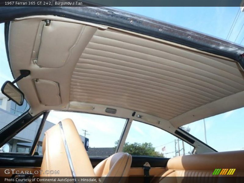 Burgundy / Tan 1967 Ferrari 365 GT 2+2