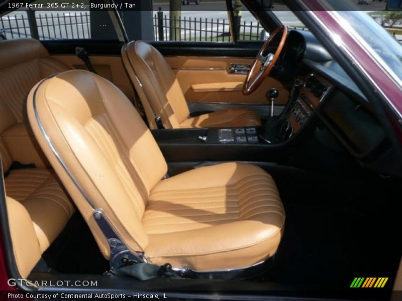 Burgundy / Tan 1967 Ferrari 365 GT 2+2
