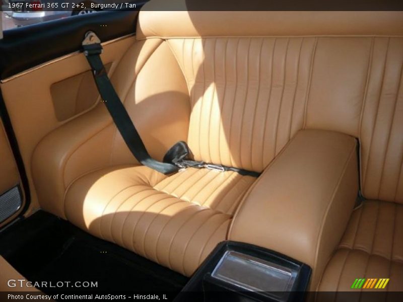 Burgundy / Tan 1967 Ferrari 365 GT 2+2