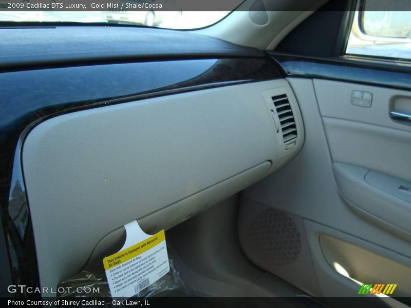 Gold Mist / Shale/Cocoa 2009 Cadillac DTS Luxury