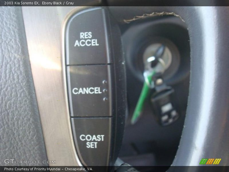 Ebony Black / Gray 2003 Kia Sorento EX