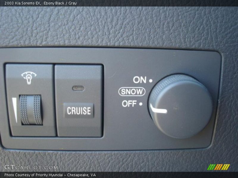 Ebony Black / Gray 2003 Kia Sorento EX