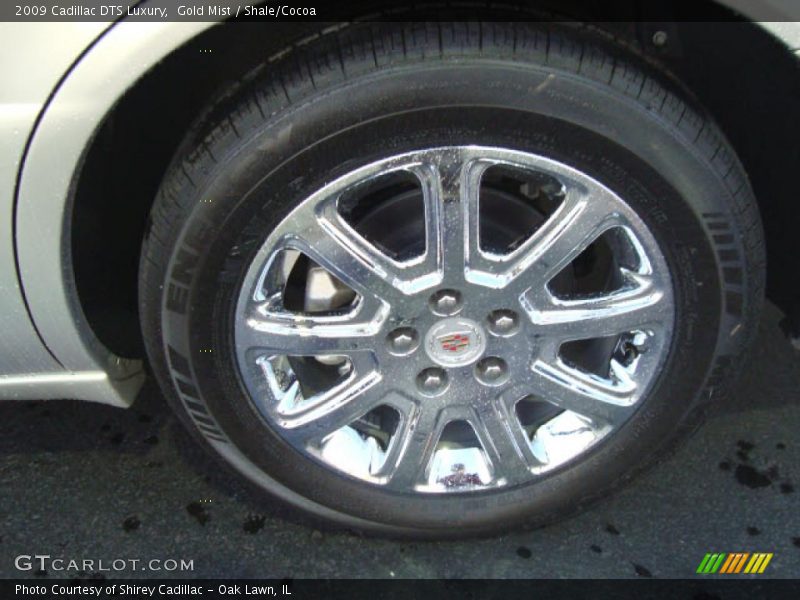Gold Mist / Shale/Cocoa 2009 Cadillac DTS Luxury