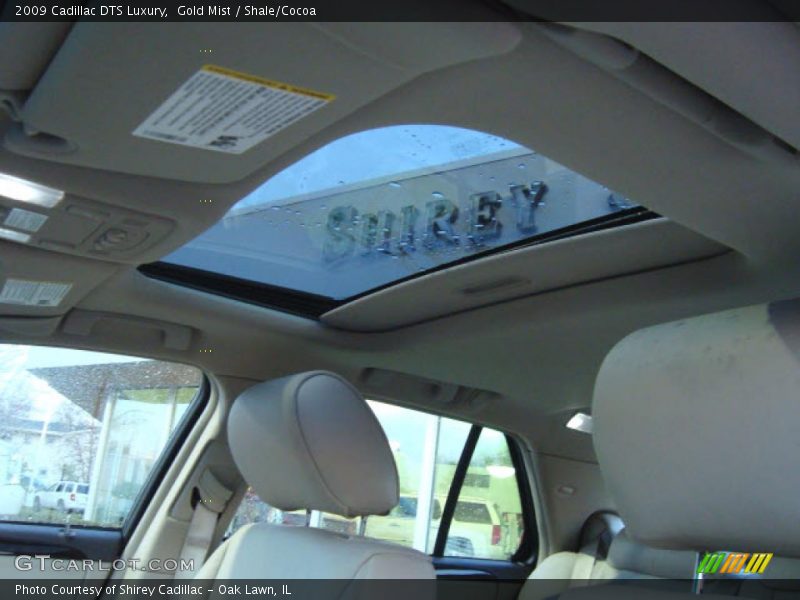 Gold Mist / Shale/Cocoa 2009 Cadillac DTS Luxury