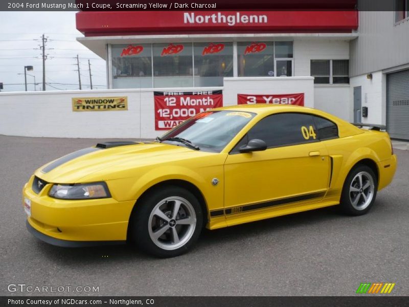 Screaming Yellow / Dark Charcoal 2004 Ford Mustang Mach 1 Coupe