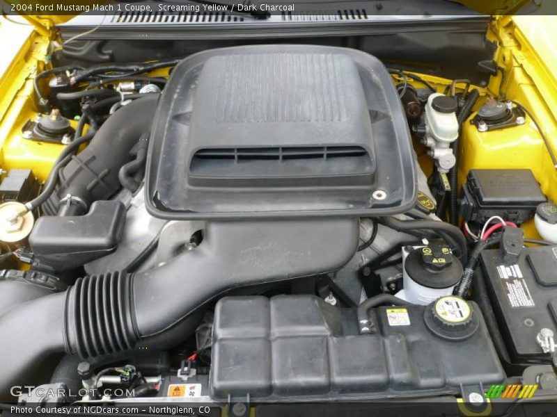 Screaming Yellow / Dark Charcoal 2004 Ford Mustang Mach 1 Coupe