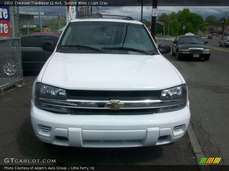 Summit White / Light Gray 2005 Chevrolet TrailBlazer LS 4x4