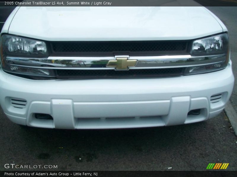Summit White / Light Gray 2005 Chevrolet TrailBlazer LS 4x4