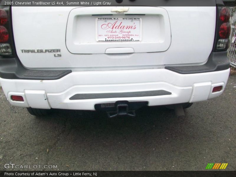 Summit White / Light Gray 2005 Chevrolet TrailBlazer LS 4x4