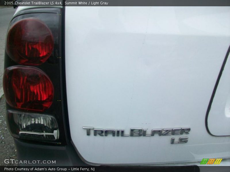Summit White / Light Gray 2005 Chevrolet TrailBlazer LS 4x4