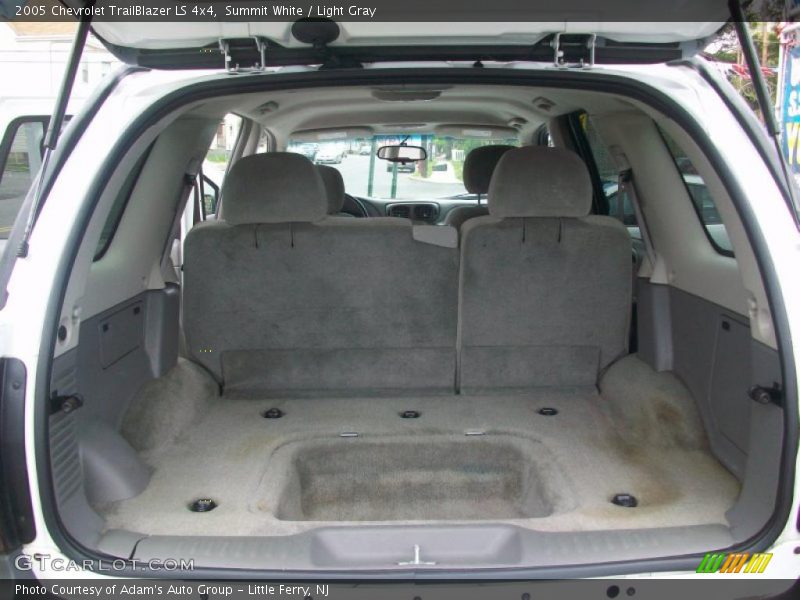Summit White / Light Gray 2005 Chevrolet TrailBlazer LS 4x4