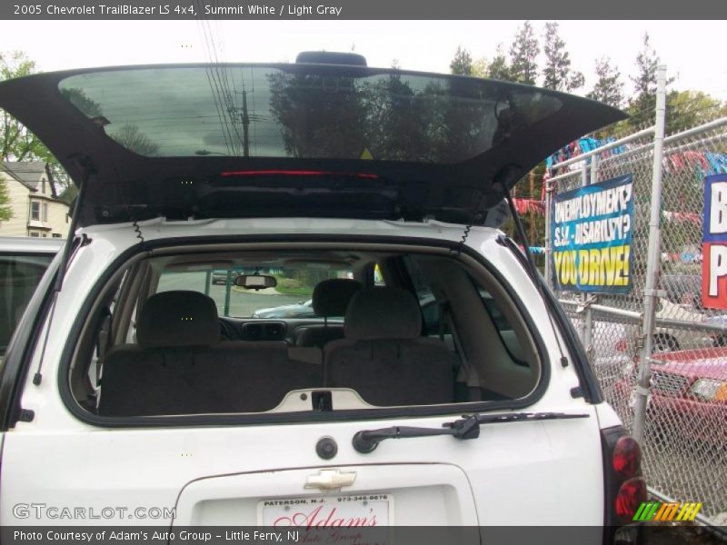 Summit White / Light Gray 2005 Chevrolet TrailBlazer LS 4x4