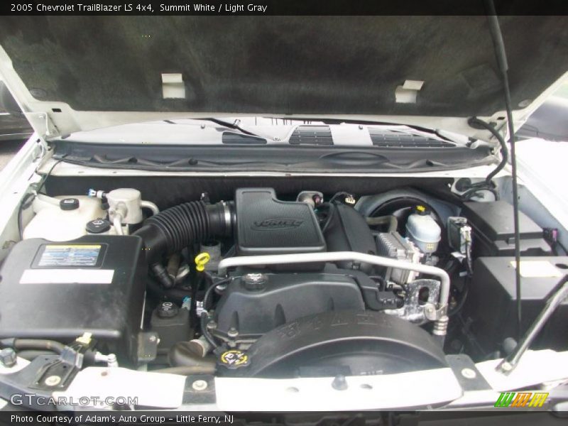 Summit White / Light Gray 2005 Chevrolet TrailBlazer LS 4x4