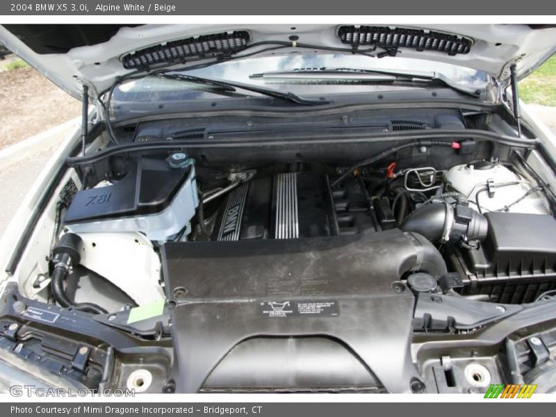 Alpine White / Beige 2004 BMW X5 3.0i