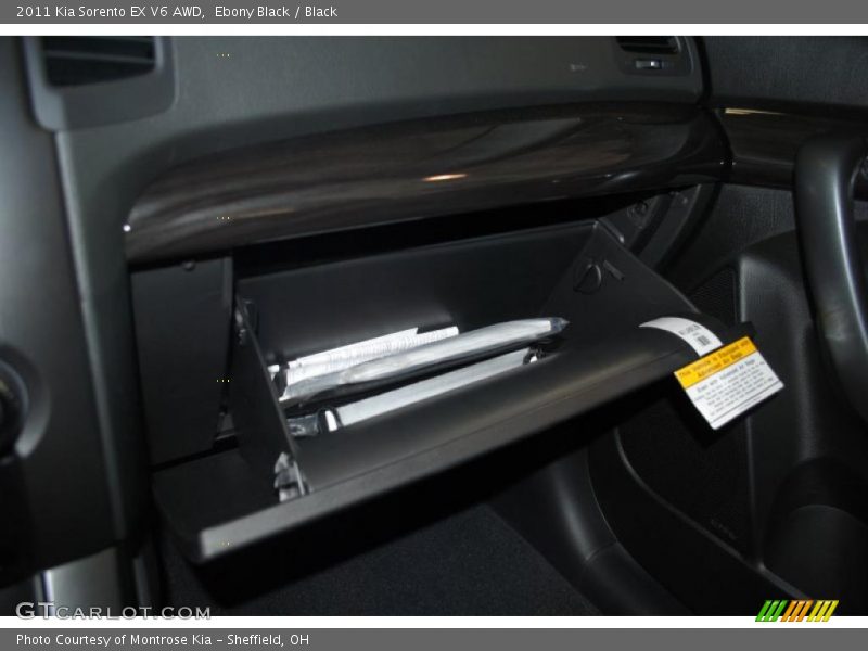 Ebony Black / Black 2011 Kia Sorento EX V6 AWD
