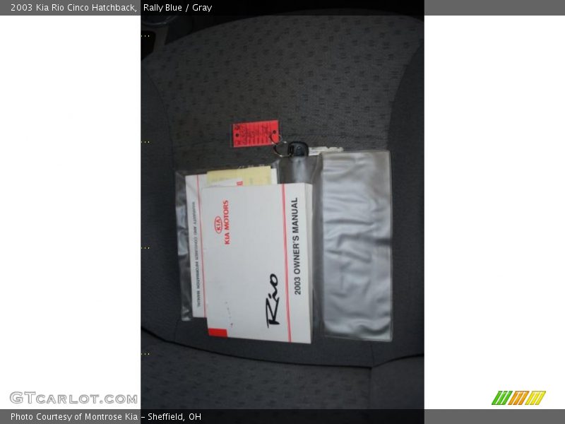 Rally Blue / Gray 2003 Kia Rio Cinco Hatchback
