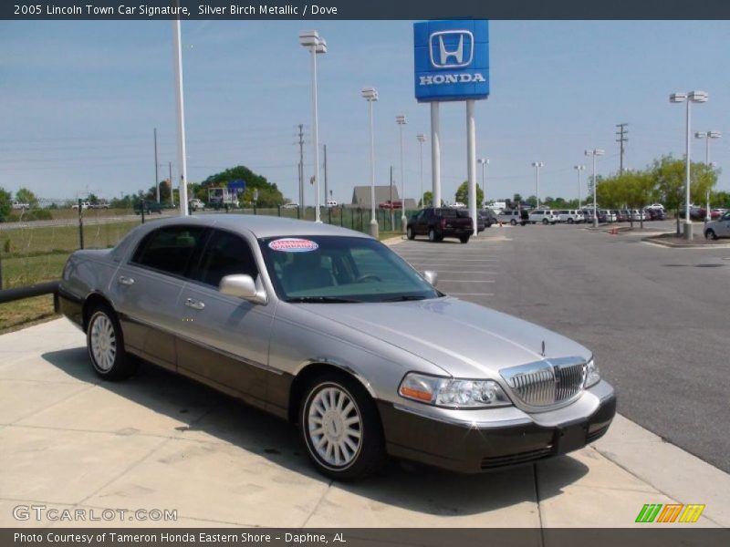 Silver Birch Metallic / Dove 2005 Lincoln Town Car Signature