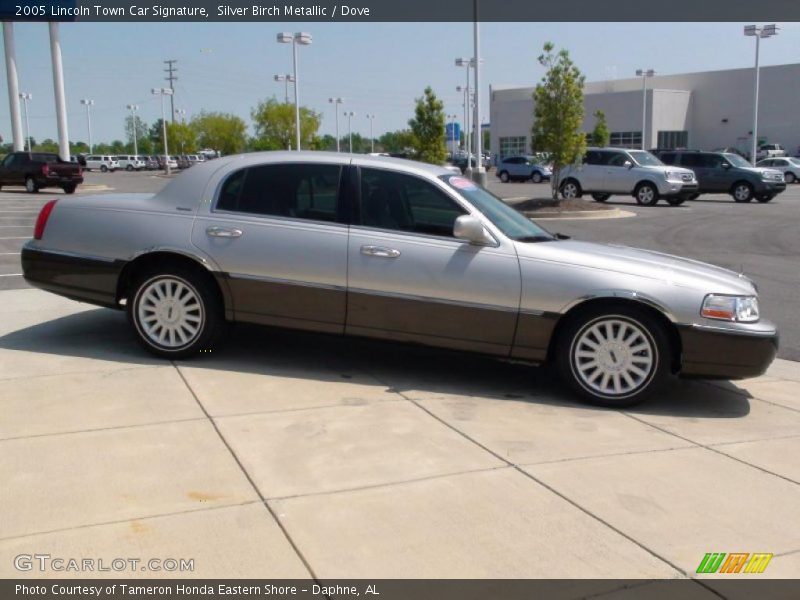 Silver Birch Metallic / Dove 2005 Lincoln Town Car Signature