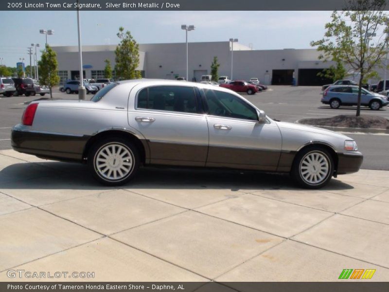 Silver Birch Metallic / Dove 2005 Lincoln Town Car Signature