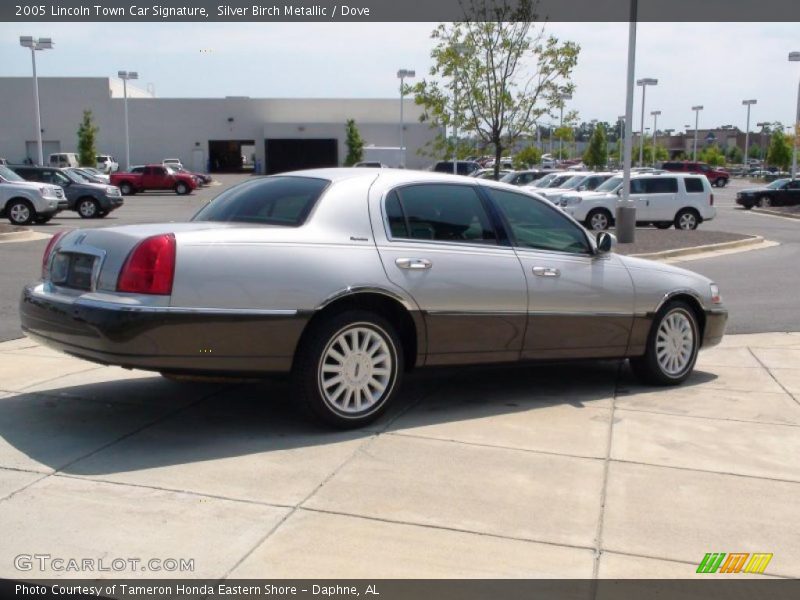 Silver Birch Metallic / Dove 2005 Lincoln Town Car Signature