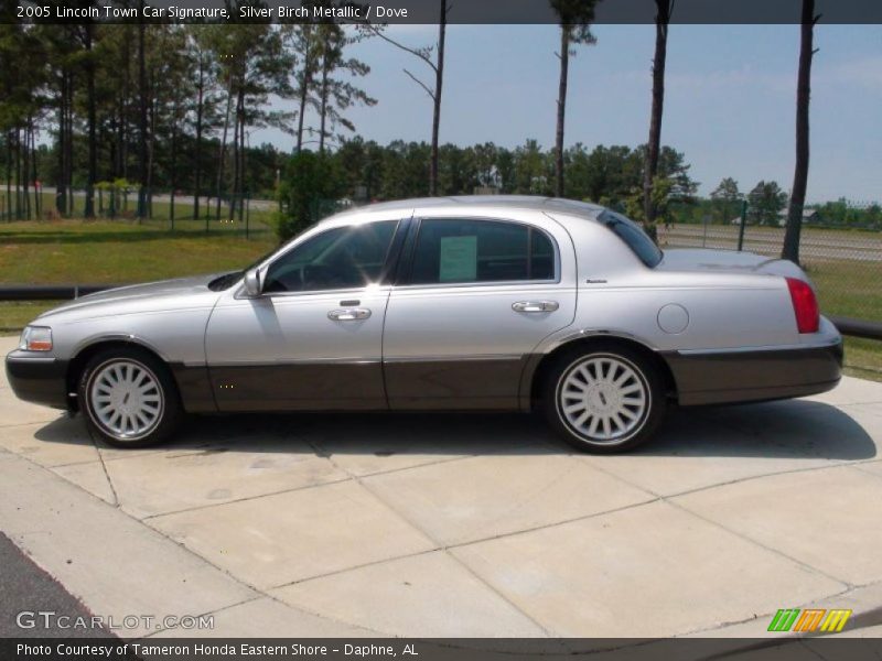 Silver Birch Metallic / Dove 2005 Lincoln Town Car Signature