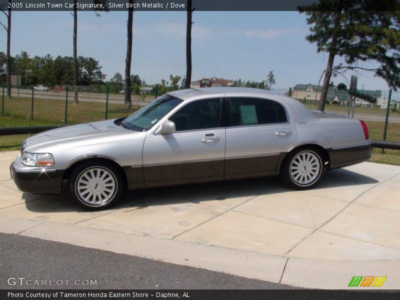 Silver Birch Metallic / Dove 2005 Lincoln Town Car Signature